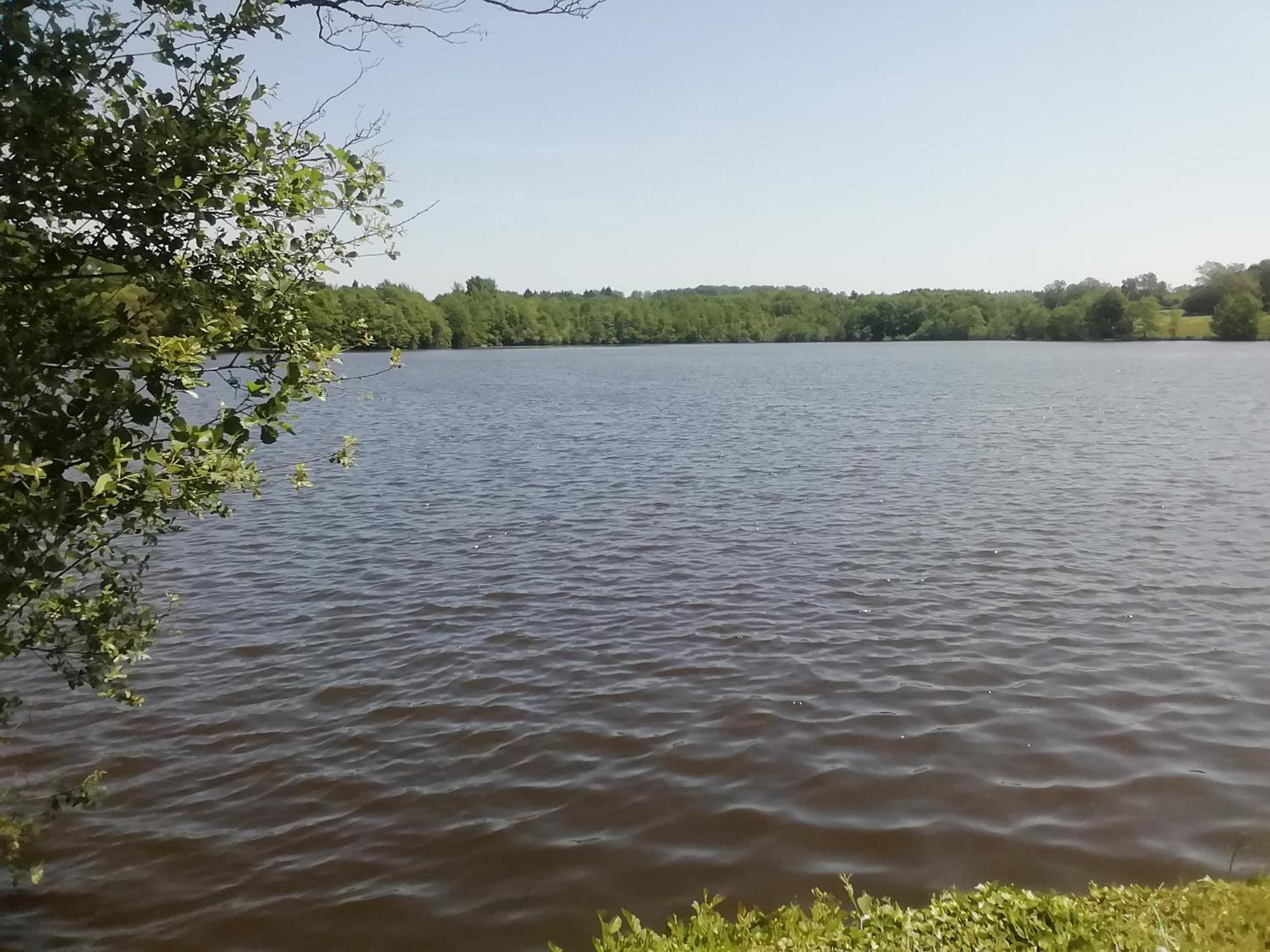 High Mill Lake - Etang De Brigueuil Bagian luar foto